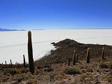 BOLIVIA 2 - Isla Incahuasi - 16